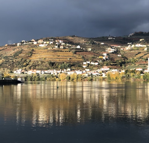 A picturesque landscape featuring a small town with predominantly white buildings nestled on a hillside. The hill is lined with terraced vineyards, indicating a region known for wine production. The foreground shows a calm body of water reflecting the hillside and cloudy sky above, with patches of sunlight illuminating parts of the landscape.