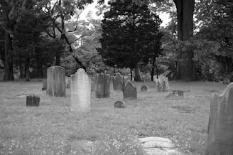 Volunteer carefully recording headstone details in a quiet Wood County cemetery.
