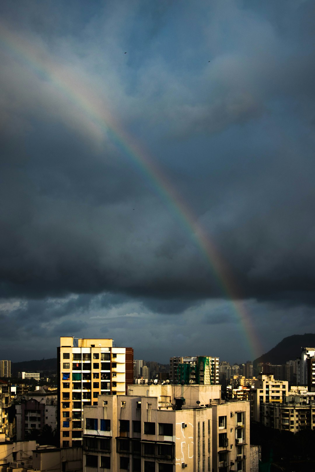 city with high rise buildings under rainbow