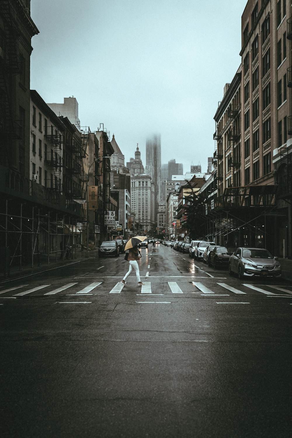 people walking on pedestrian lane during daytime