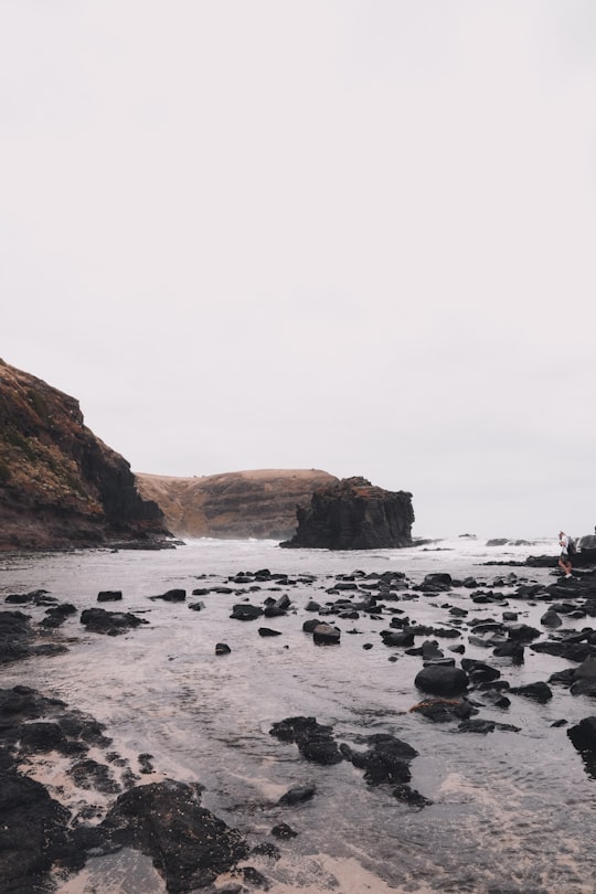 Bushrangers Bay things to do in Cape Schanck