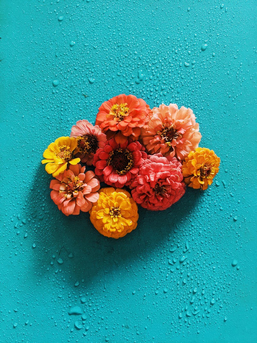 orange and yellow flowers on blue surface