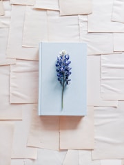 A light blue hardcover book is centrally placed on a textured background composed of overlapping sheets of off-white paper. A single purple and white flower with a green stem is laid across the book, adding a touch of natural beauty and contrast to the scene.