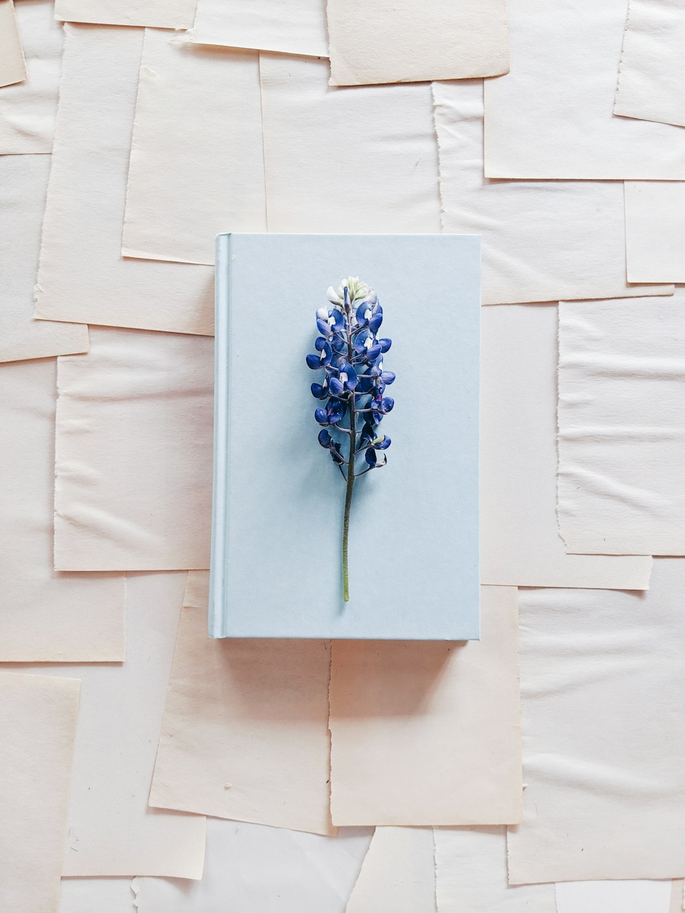 파란색과 흰색 꽃 벽 장식