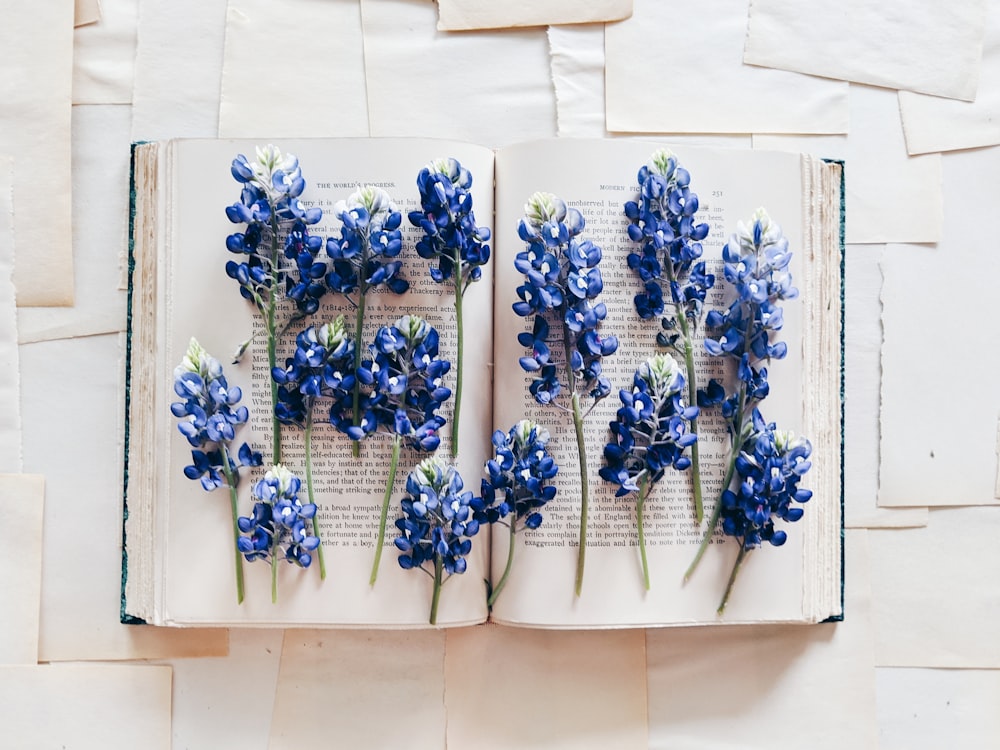 파란색과 흰색 꽃 벽 장식
