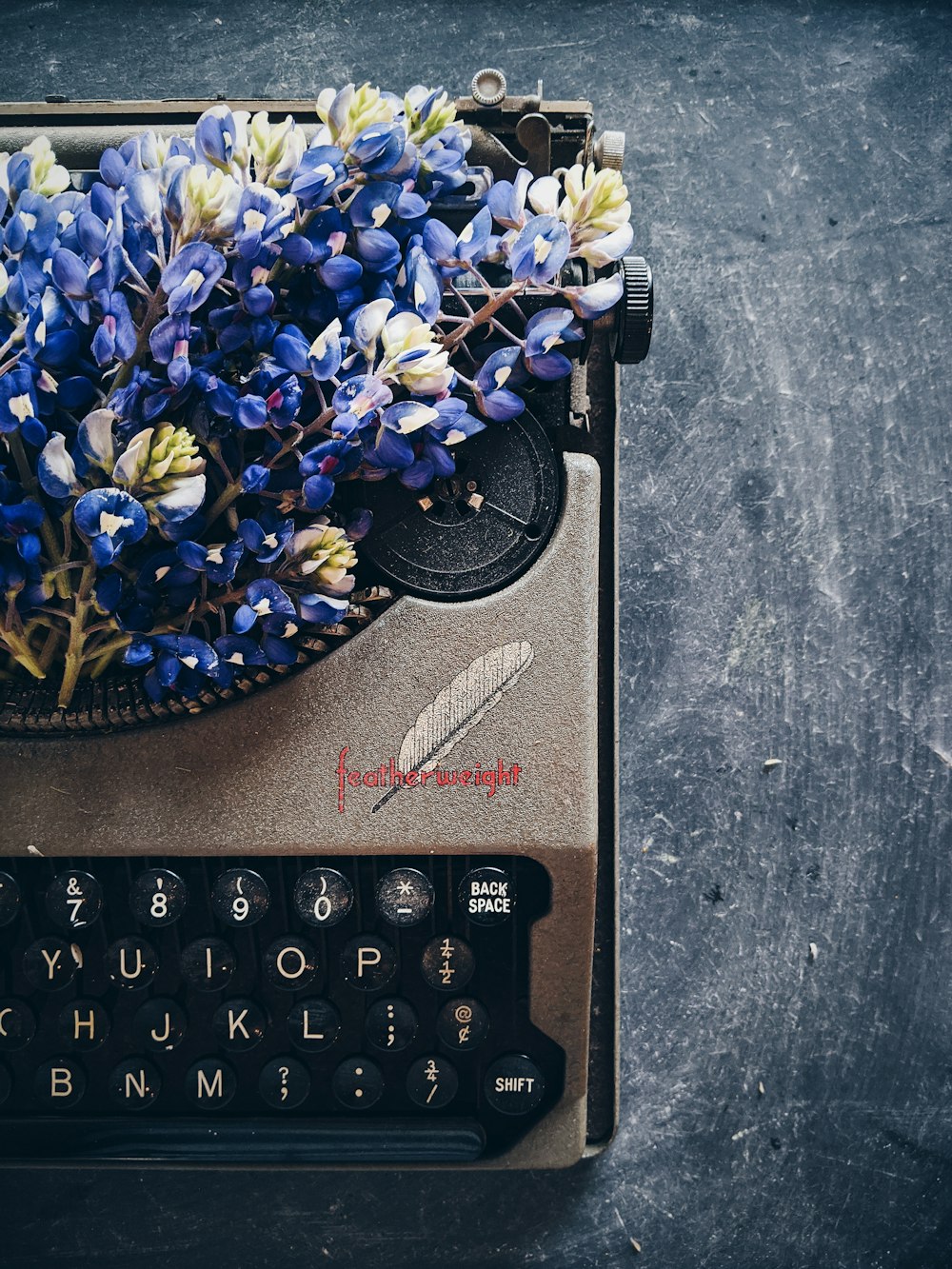 fleurs bleues et jaunes sur chapeau noir et marron