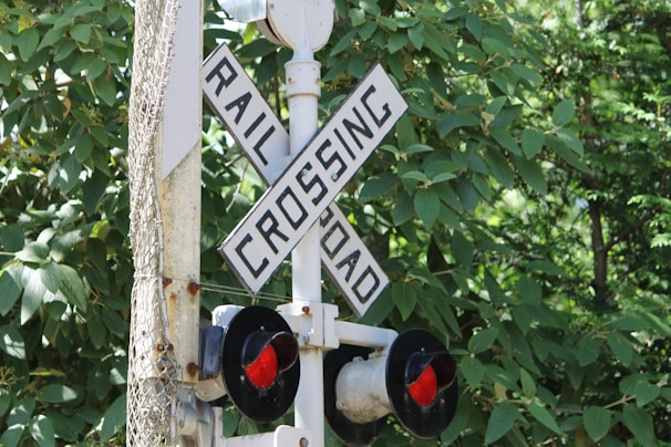 A railroad crossing sign with large, bold letters reading 'RAIL' and 'ROAD' intersecting in an X shape. Below, red signal lights are visible. The background is filled with lush green foliage.