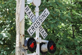 A railroad crossing sign with large, bold letters reading 'RAIL' and 'ROAD' intersecting in an X shape. Below, red signal lights are visible. The background is filled with lush green foliage.