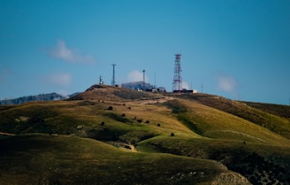 green grass field under blue sky during daytime