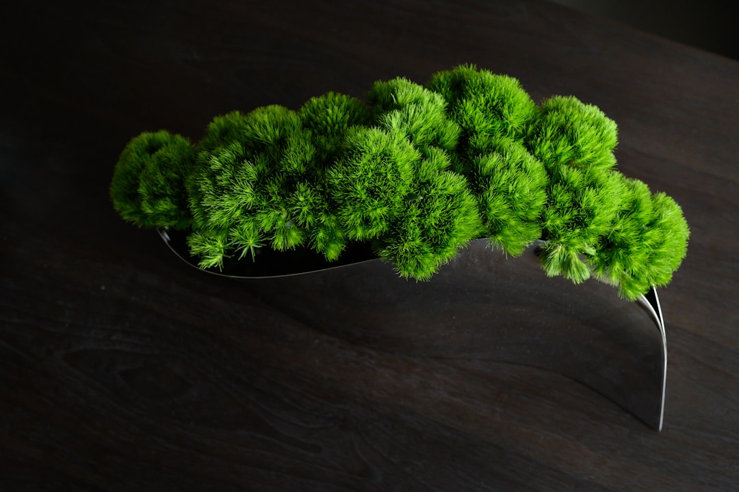 green knit textile on brown wooden table