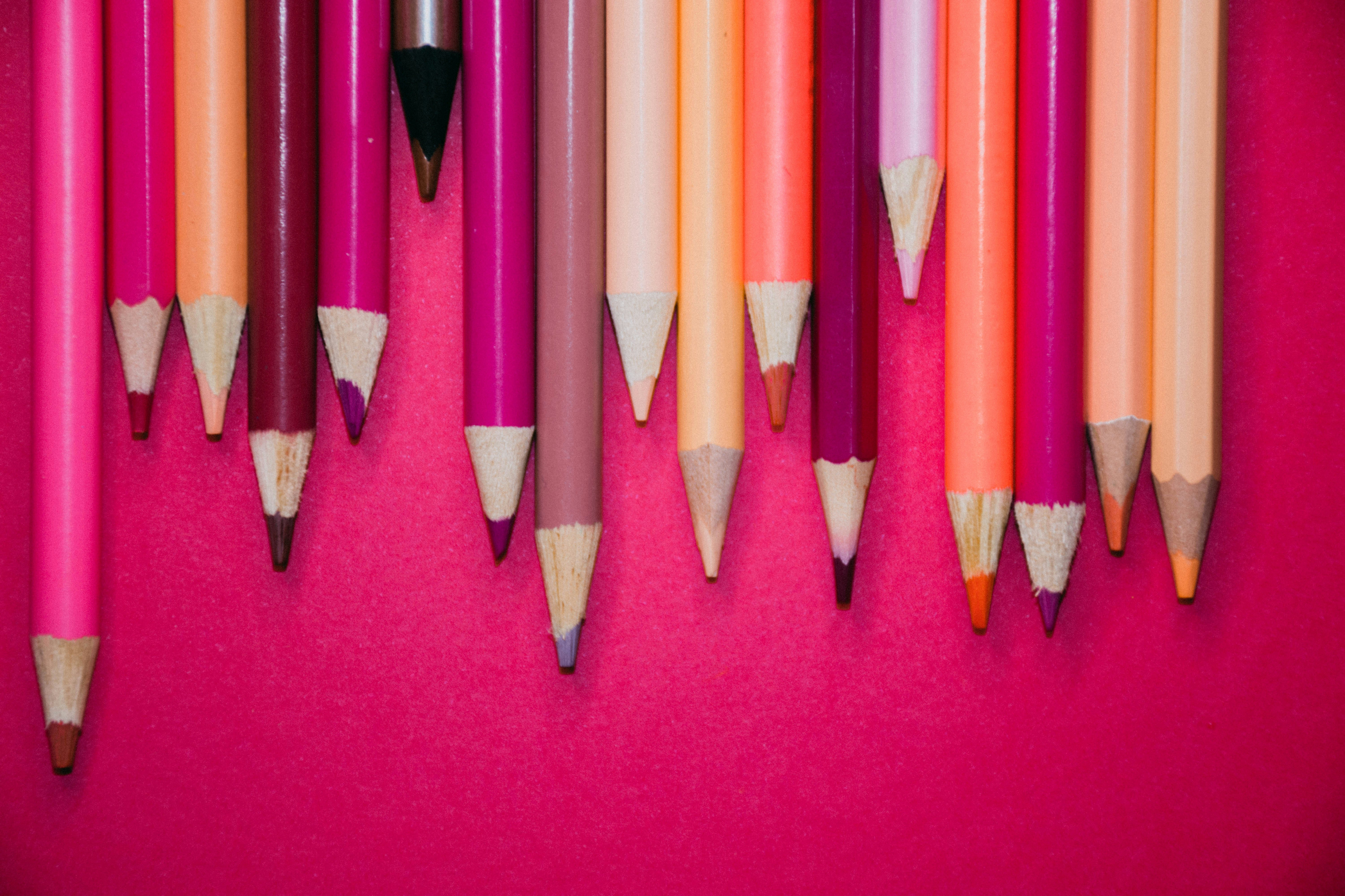 Photo by lucasgwendt