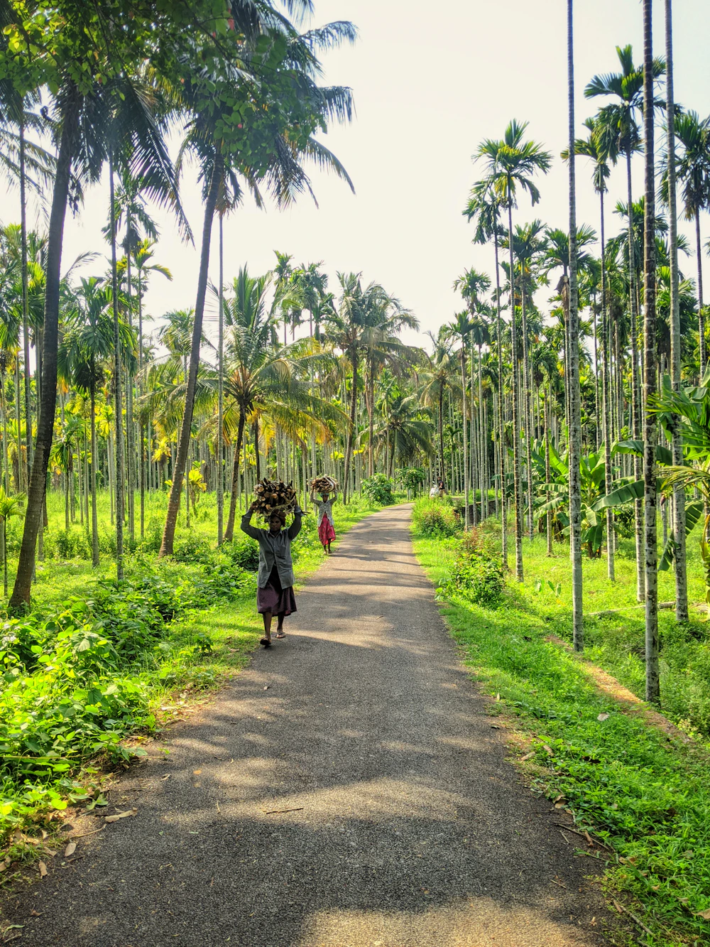 Spice plantation trail & lunch