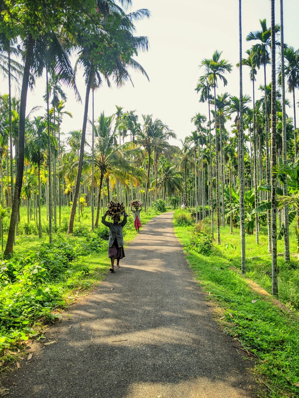 donna in giacca nera che cammina sulla strada asfaltata grigia tra le palme verdi durante il giorno