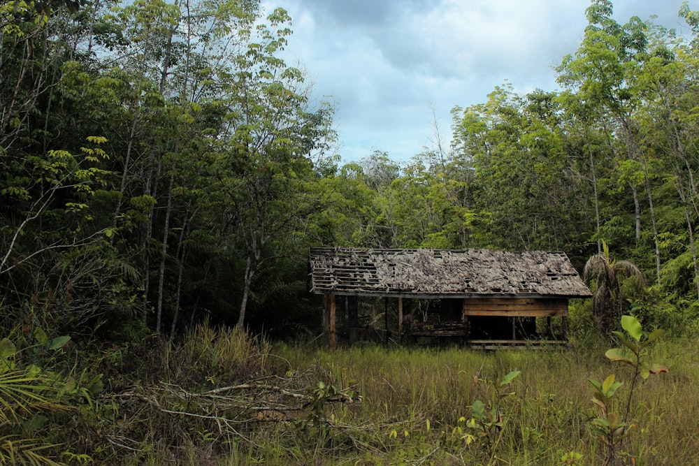 brown wooden house surrounded by green grass and trees during daytime