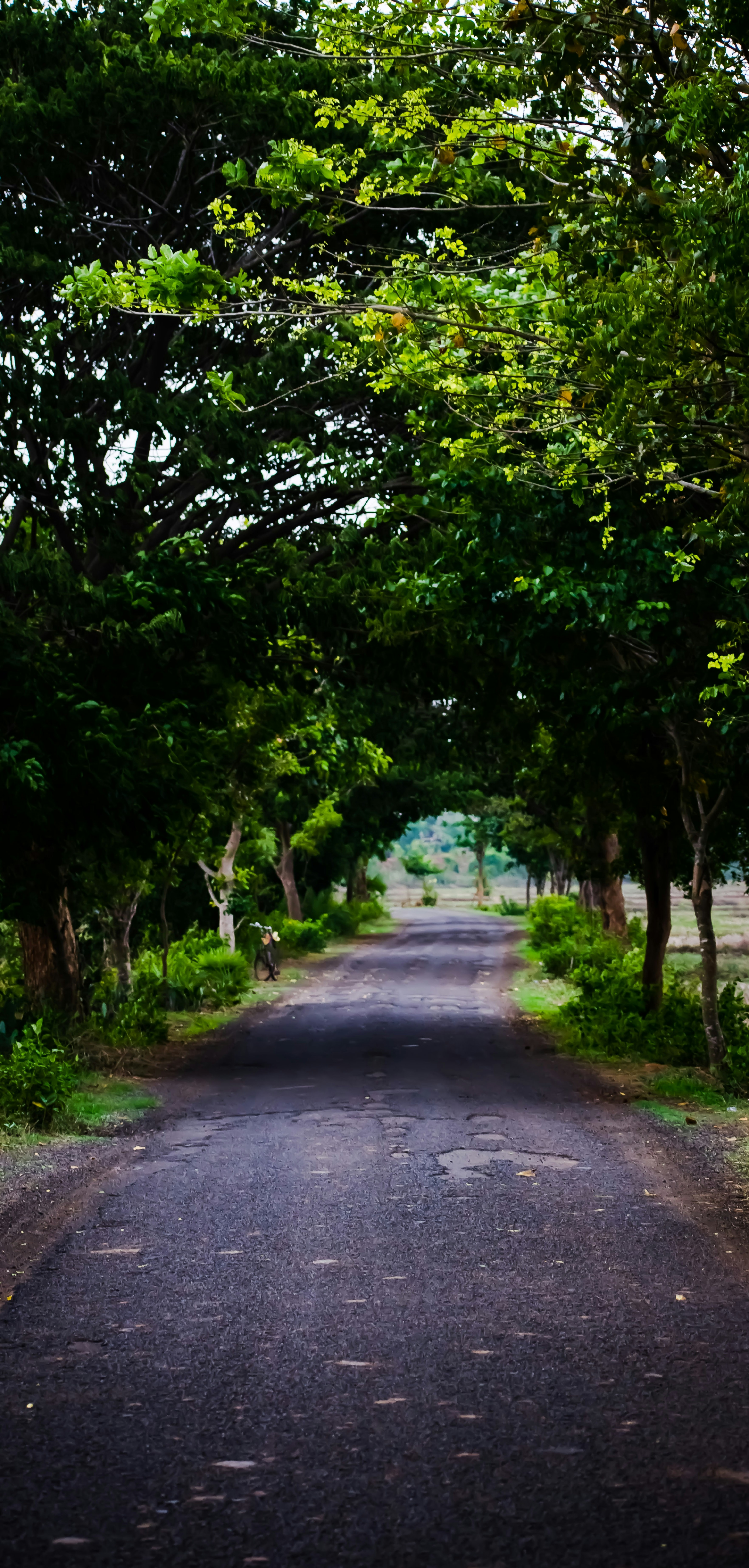 Photo by a_b_captures