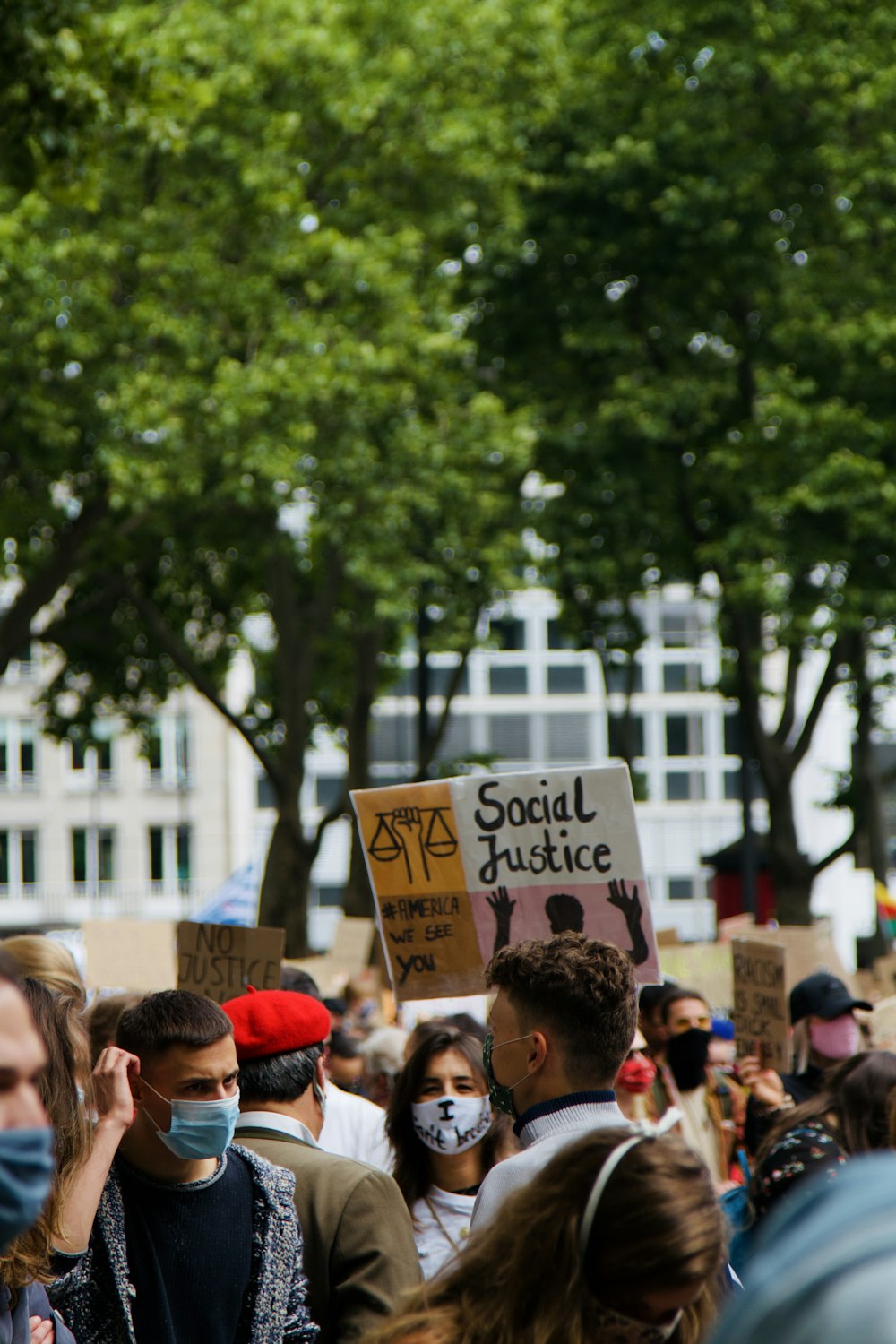 people gathering near green trees during daytime