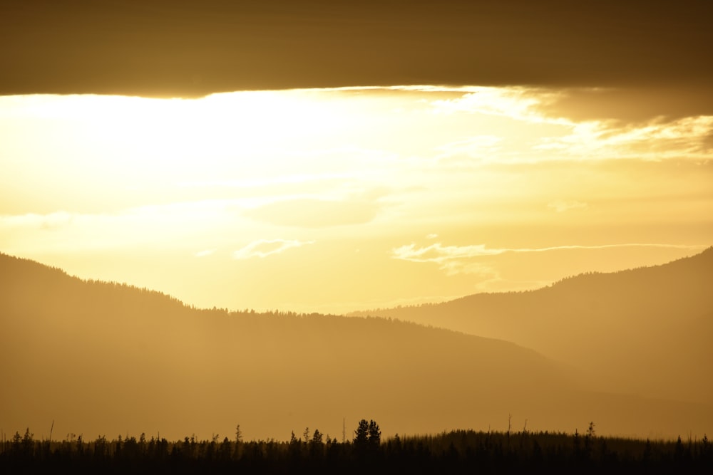 silhouette of trees and mountains during daytime