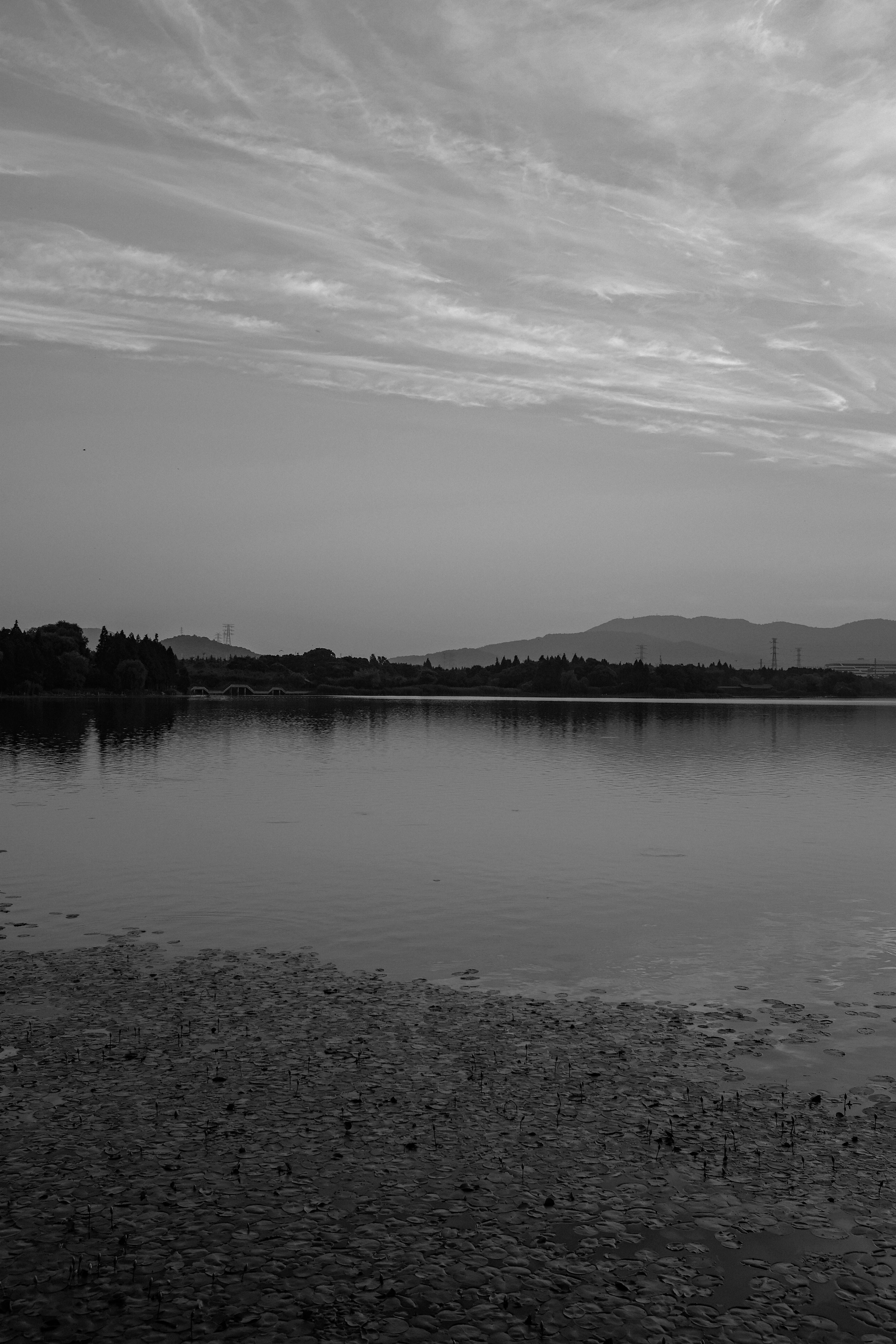 Photo by kennyzhang29