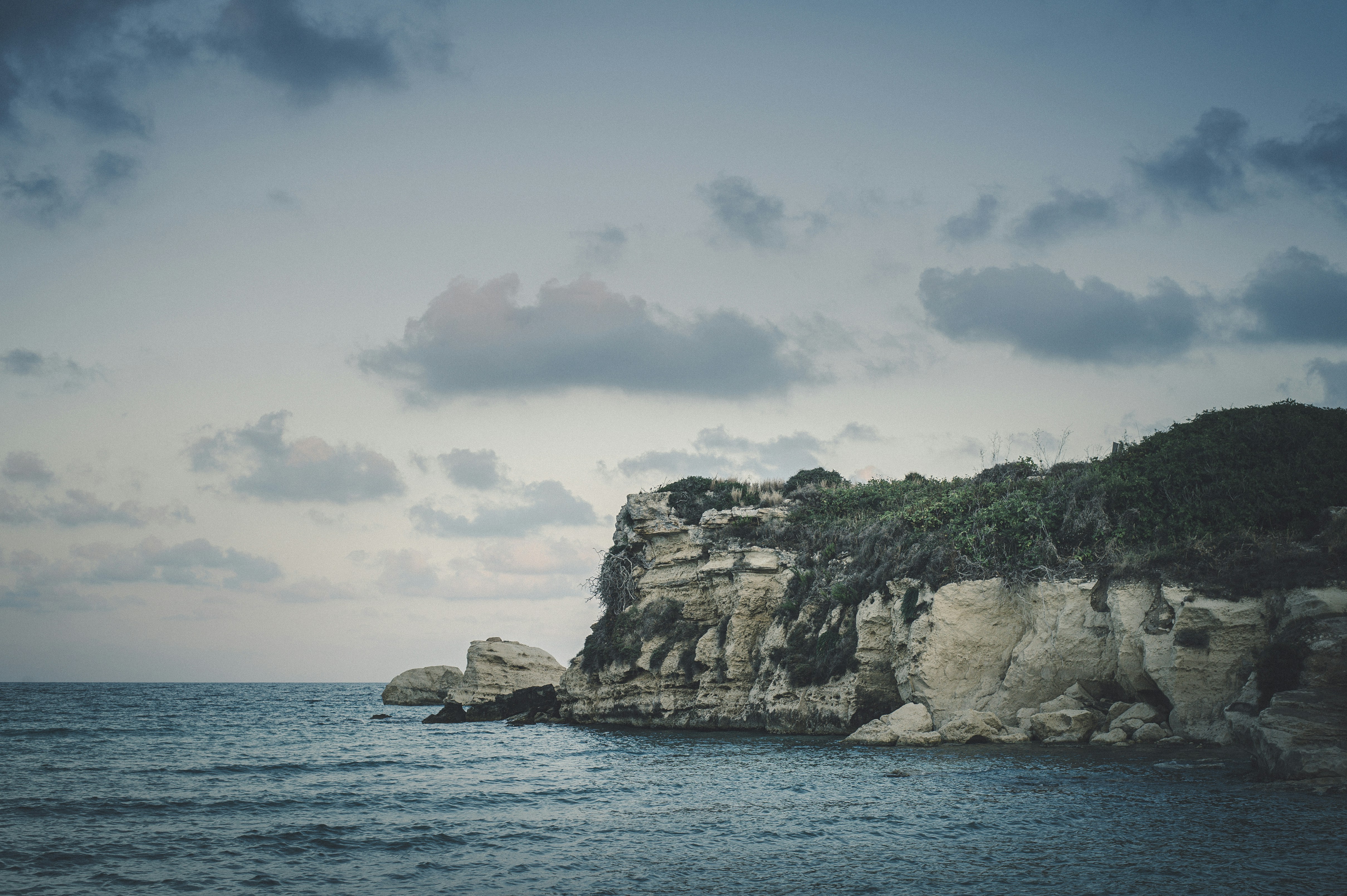 Photo by vonshnauzer