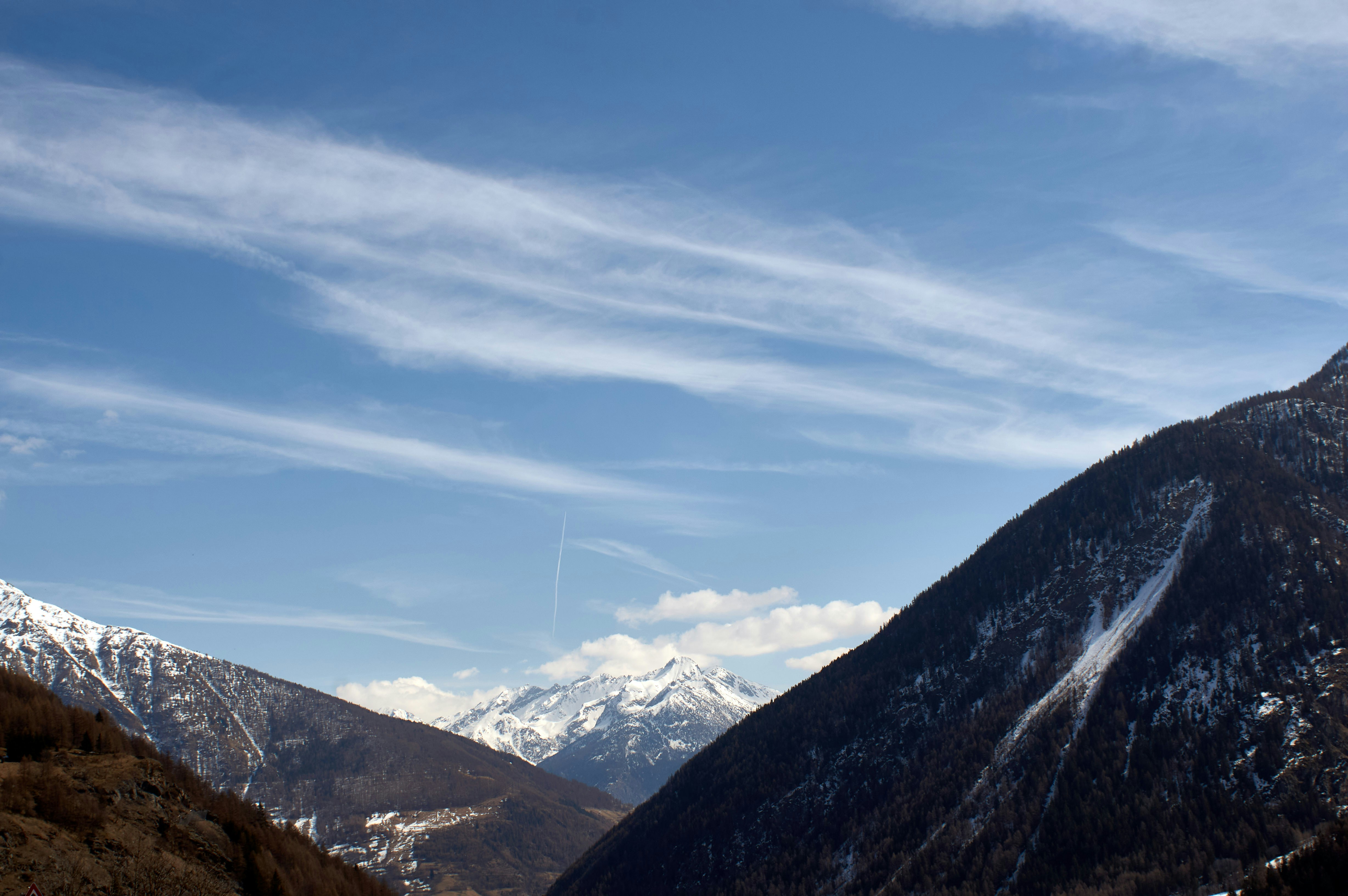 Photo by wolfgang_hasselmann