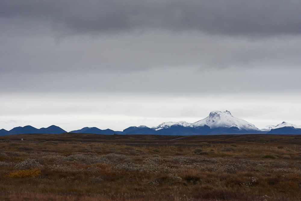 brown grass field near snow covered mountain during daytime