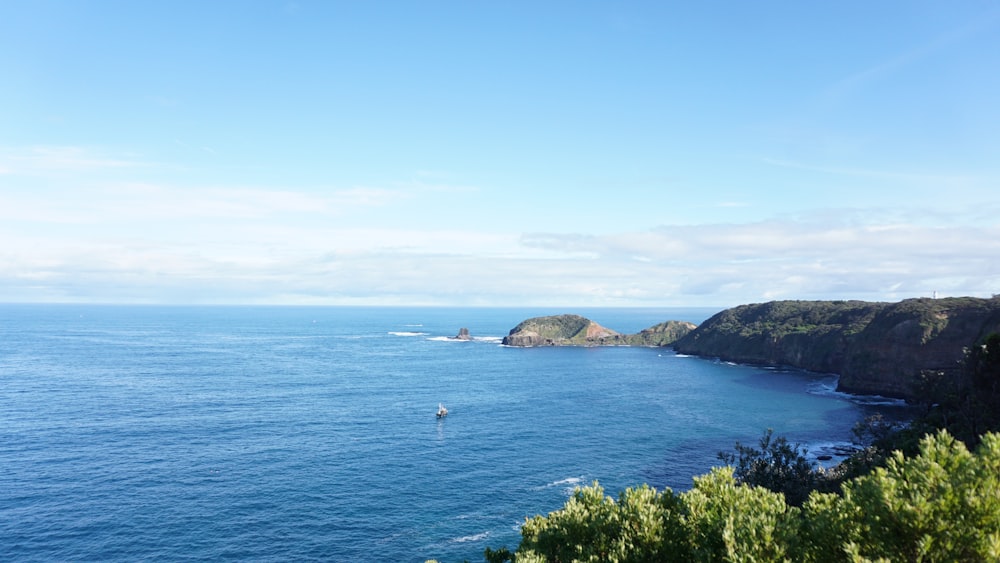 green trees near blue sea under blue sky during daytime