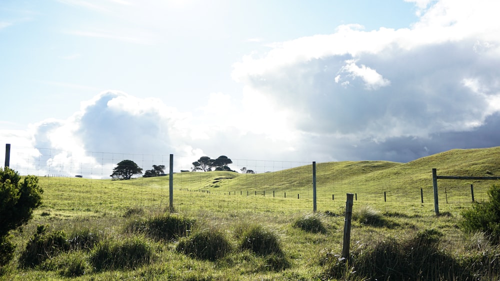 green grass field under white clouds during daytime