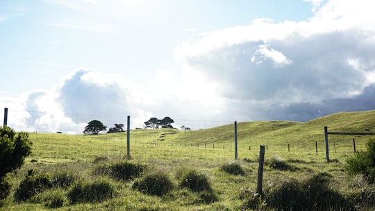 green grass field under white clouds during daytime in Mornington Peninsula Australia