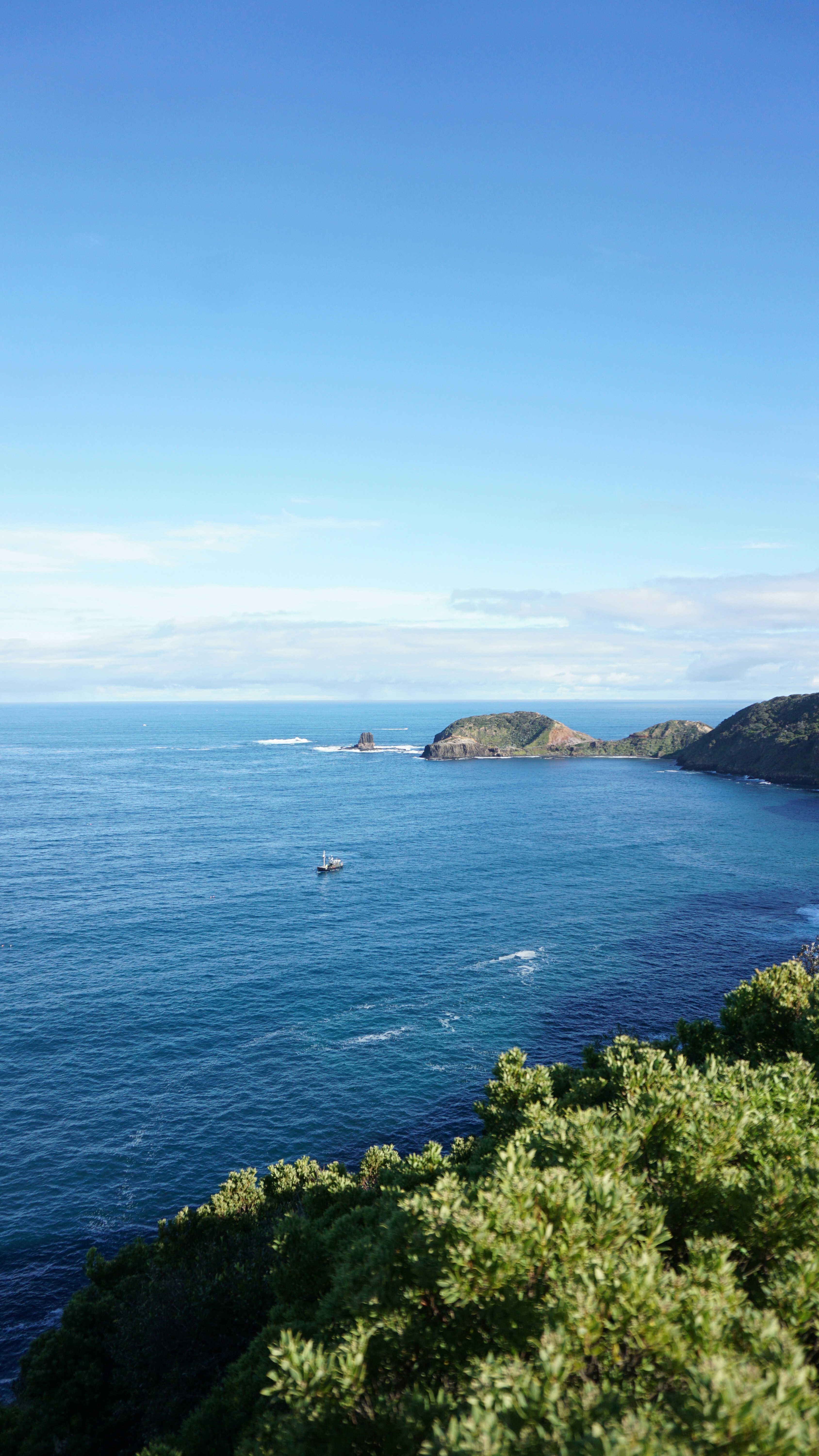 Photo by summerfield