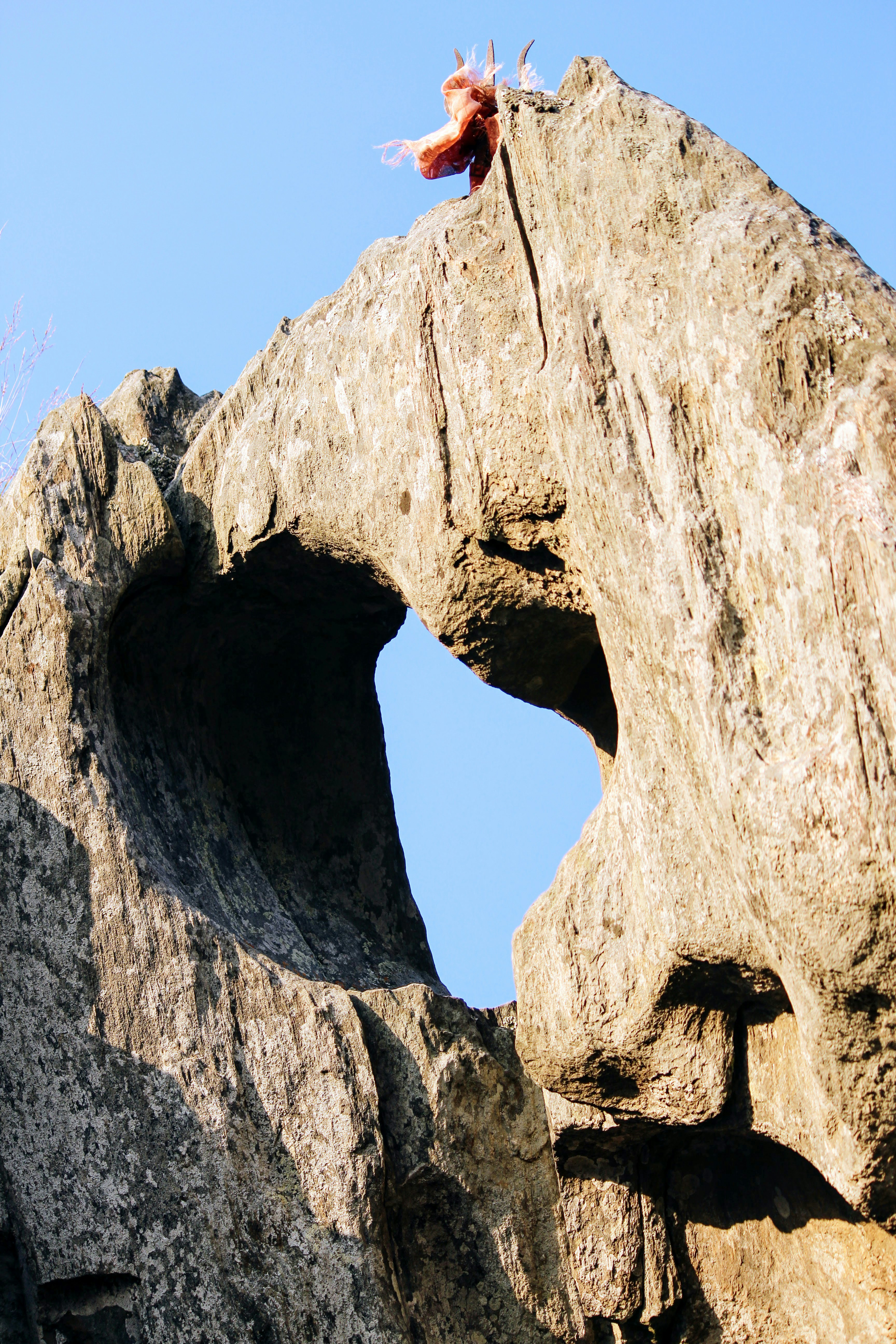 photo 1591944621704 387a4e93e250?ixlib=rb 4.0