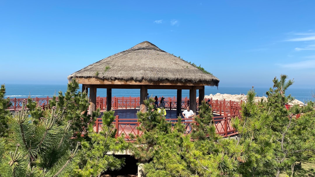 Travel Tips and Stories of Muping District in China