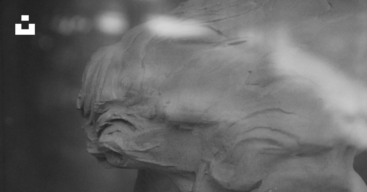 Gray R Realistic Face Gray scale photo of human face photo – Free Grey Image on Unsplash