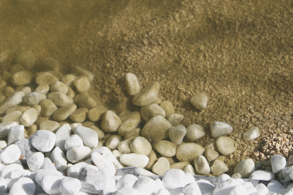 weiße und graue Steine auf braunem Sand