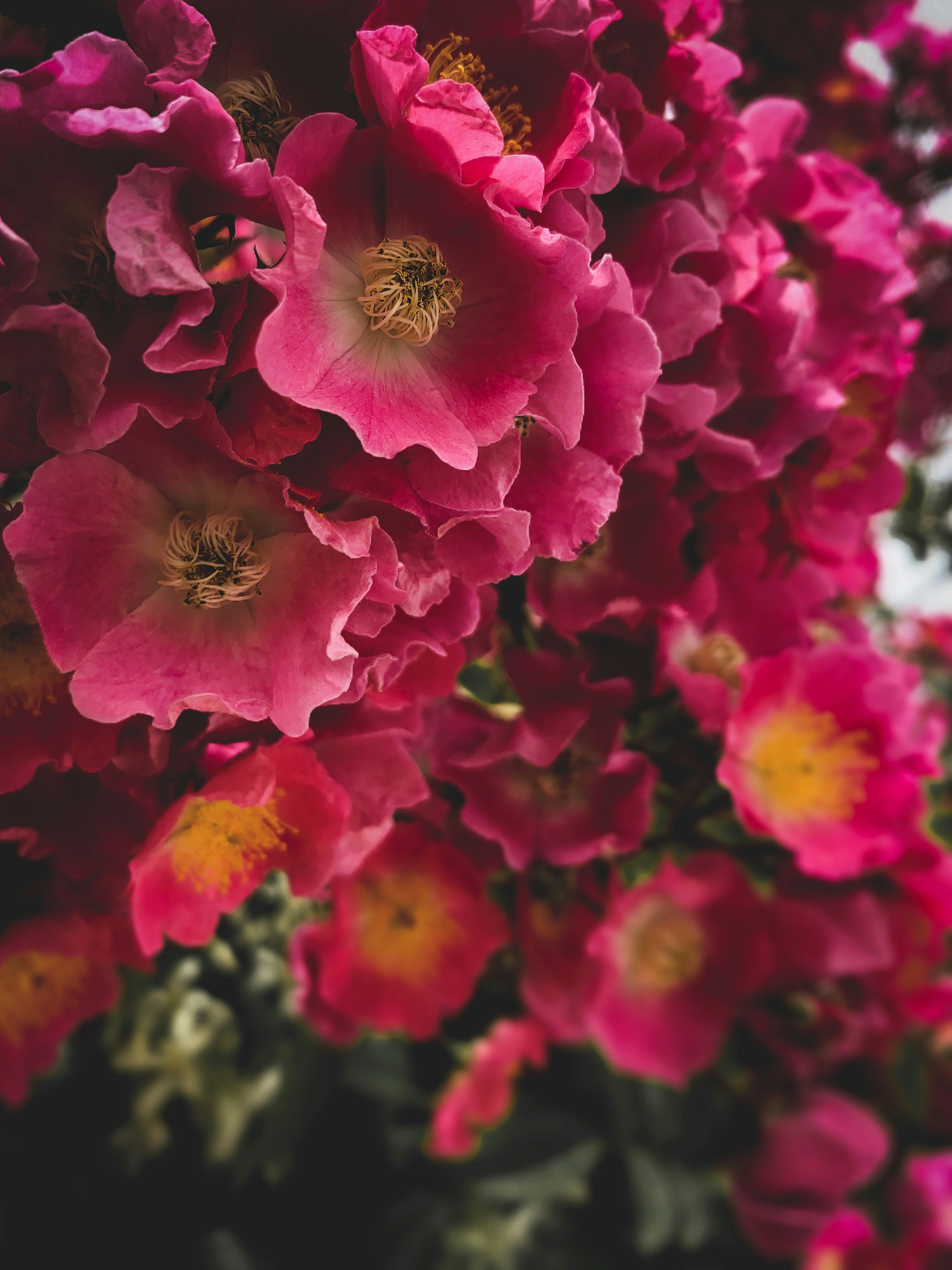 Photo by team_bryan_creative