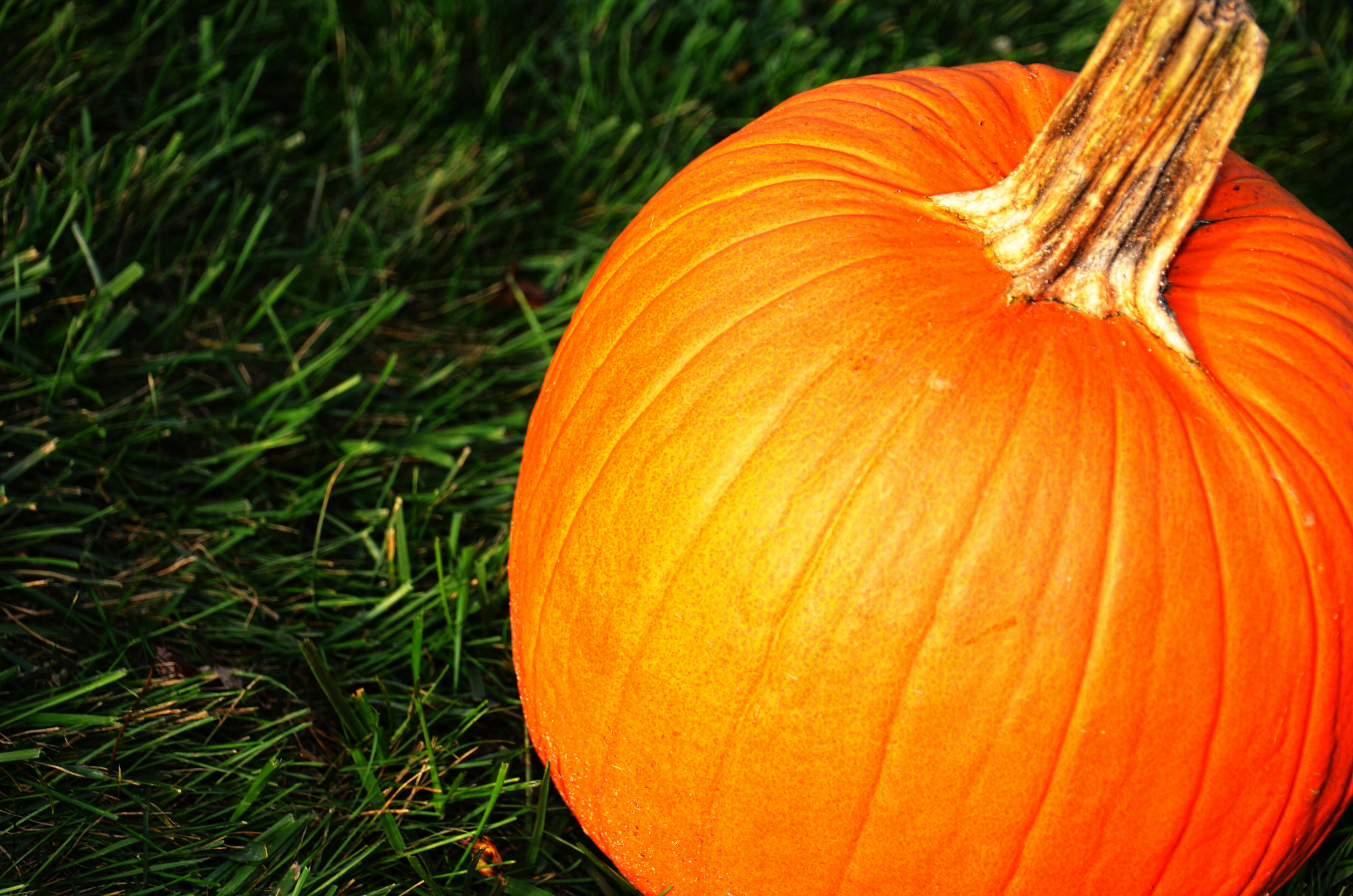 Photo by thekimberlylynn