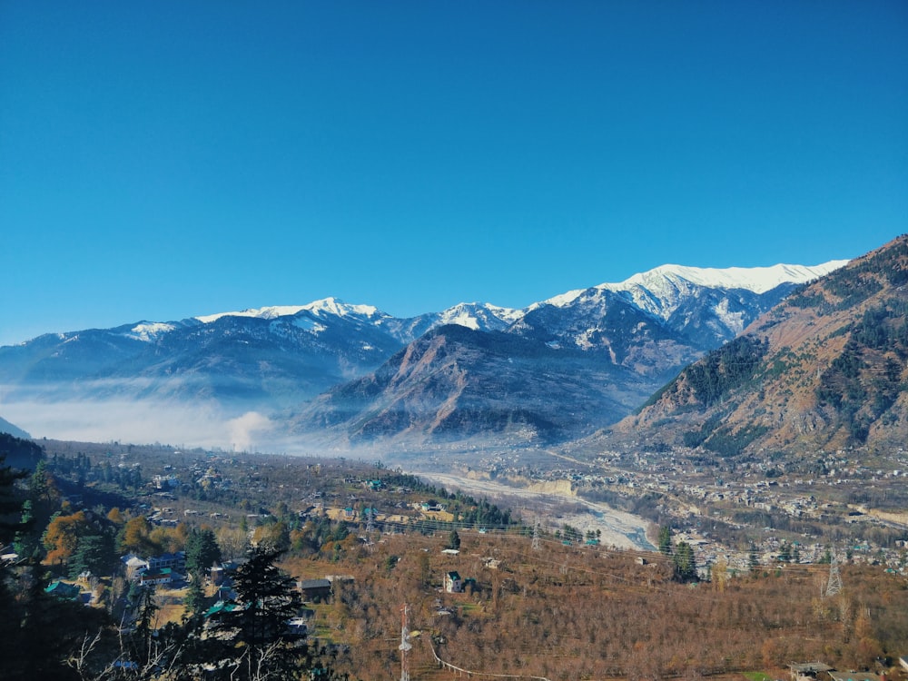 green trees near snow covered mountain during daytime