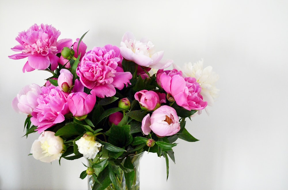 pink and white roses in clear glass vase