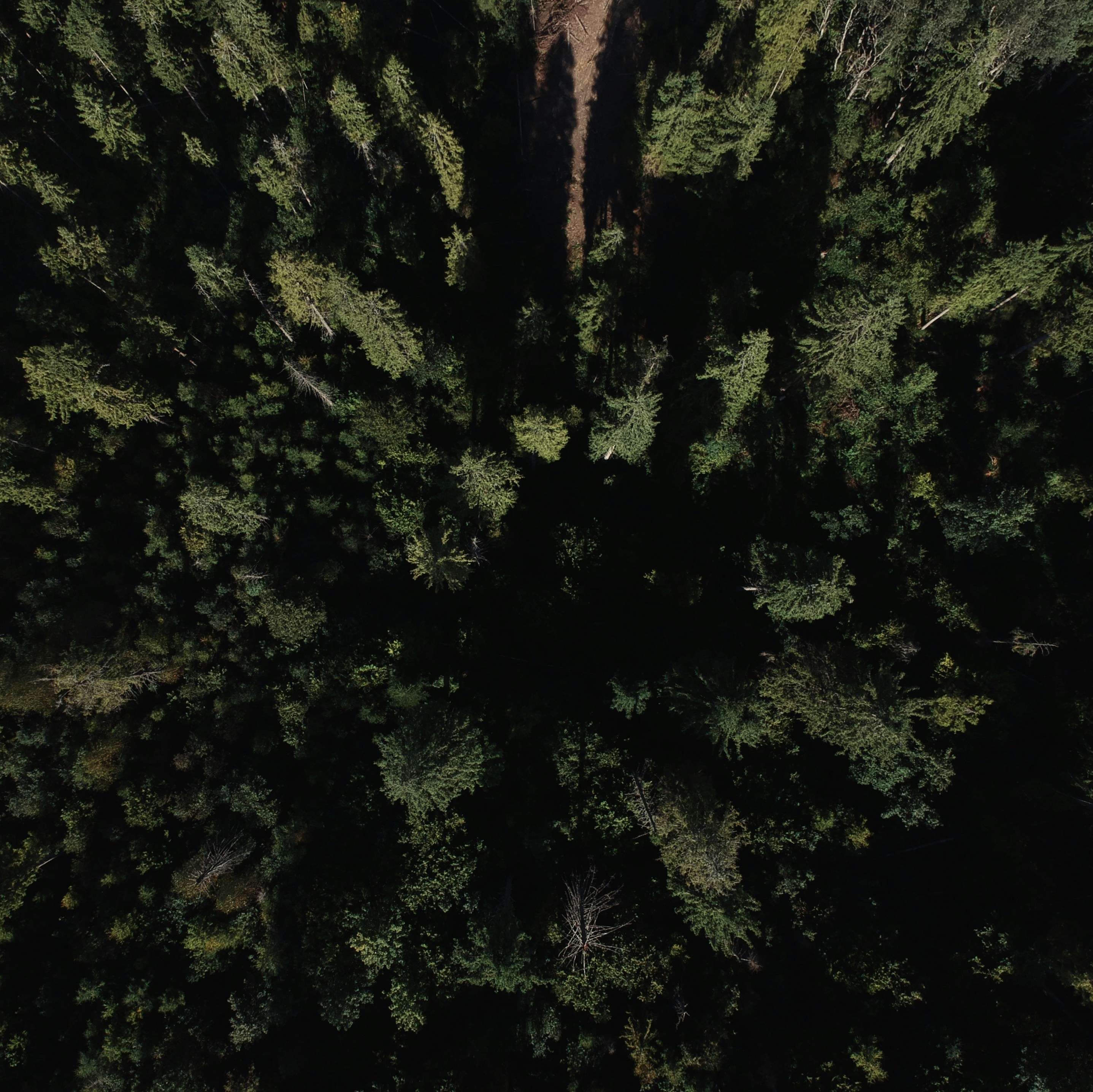 Photo by timesnewroman14