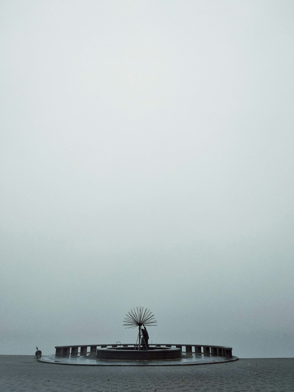 green palm tree under white sky