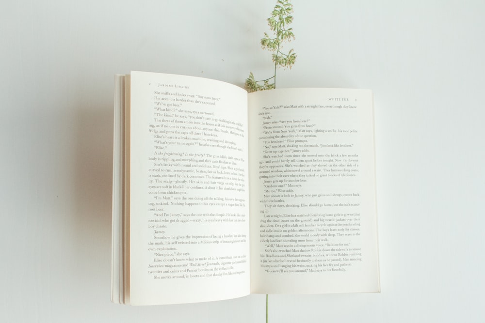 緑の植物が描かれた白い本のページ