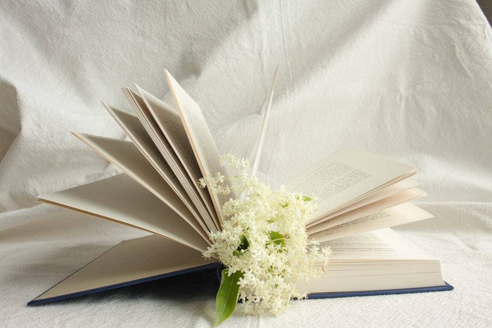 white flower on white book page