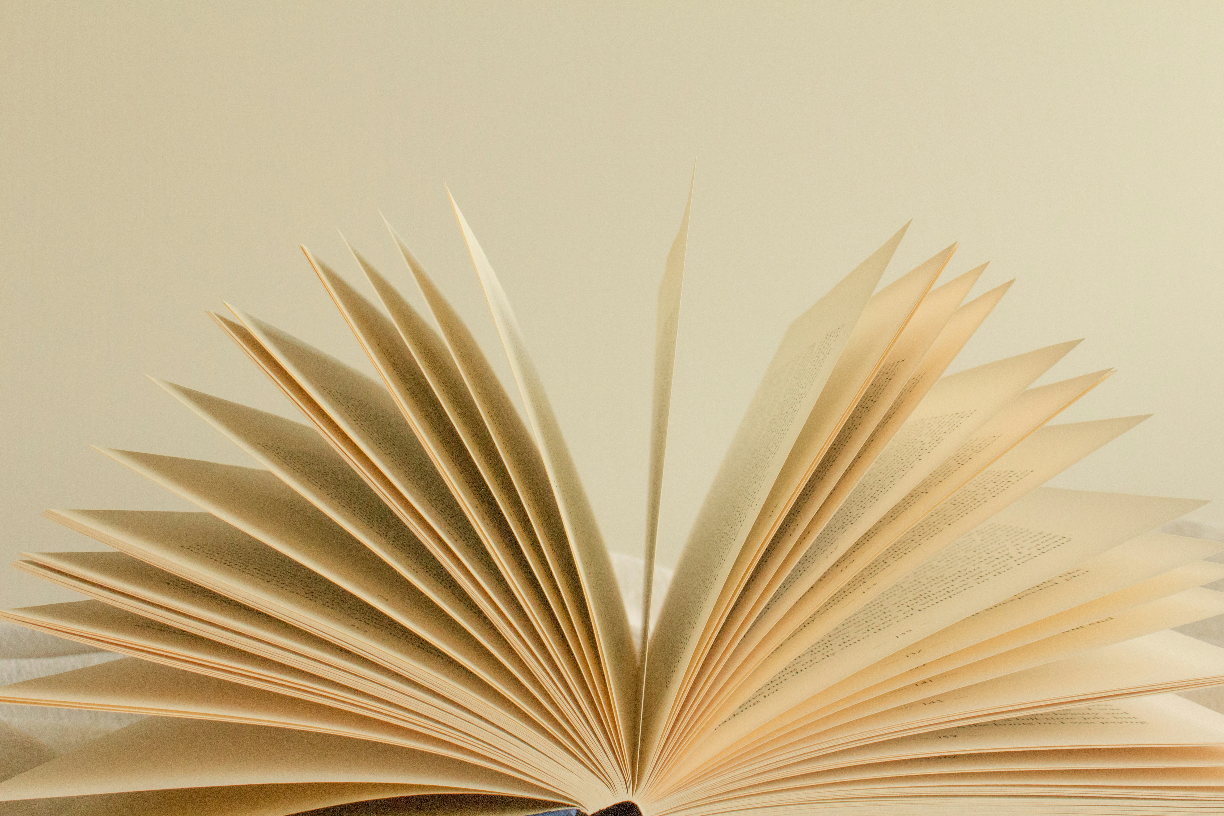 An open book with fanned pages against a plain light background