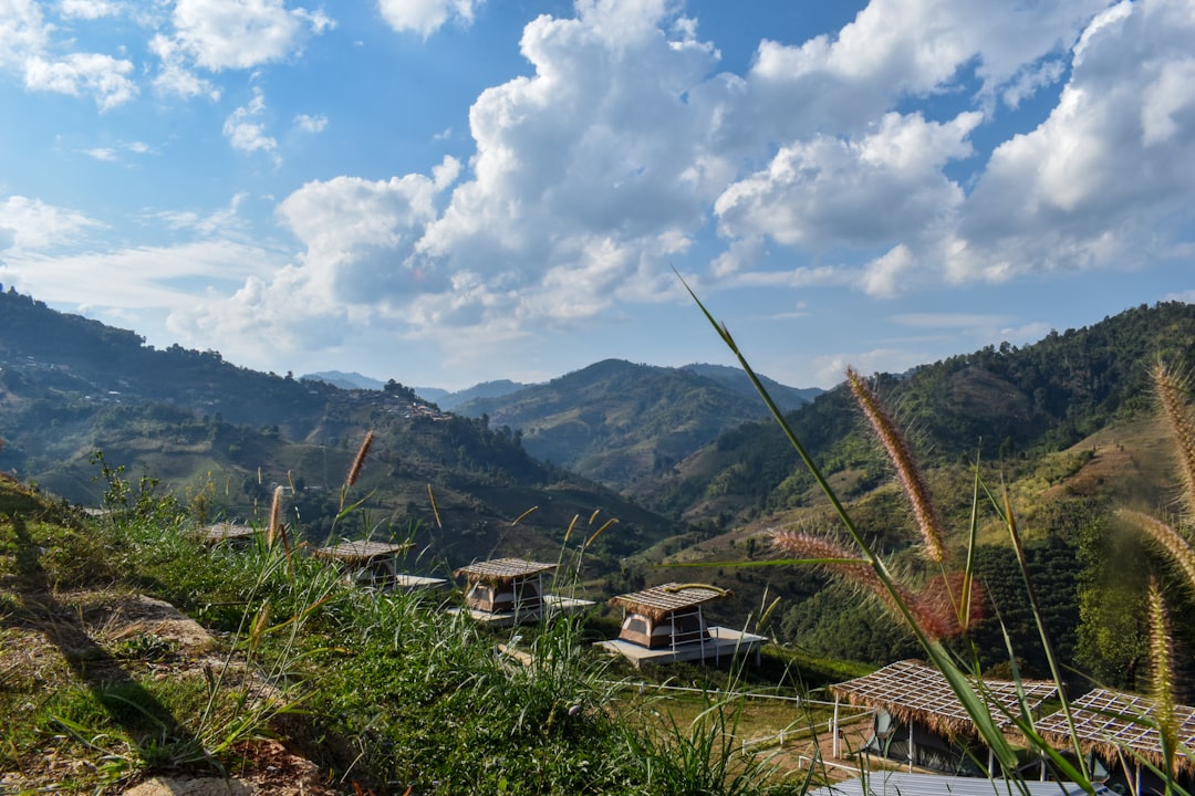 7 Unexpected Adventures for Families in