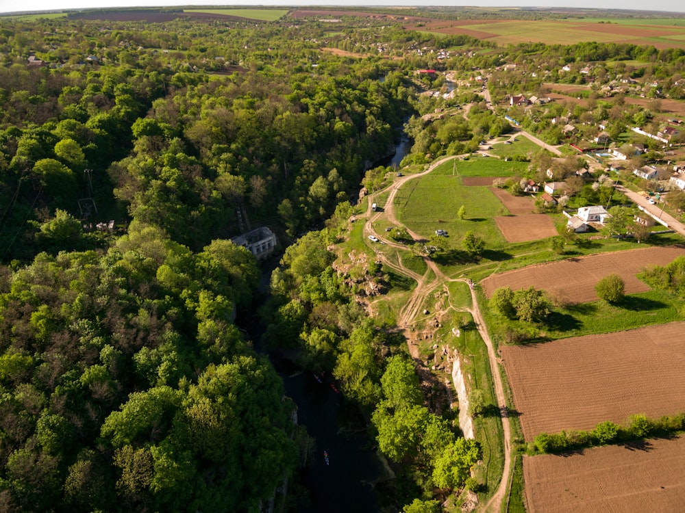 aerial view of green trees and houses during daytime