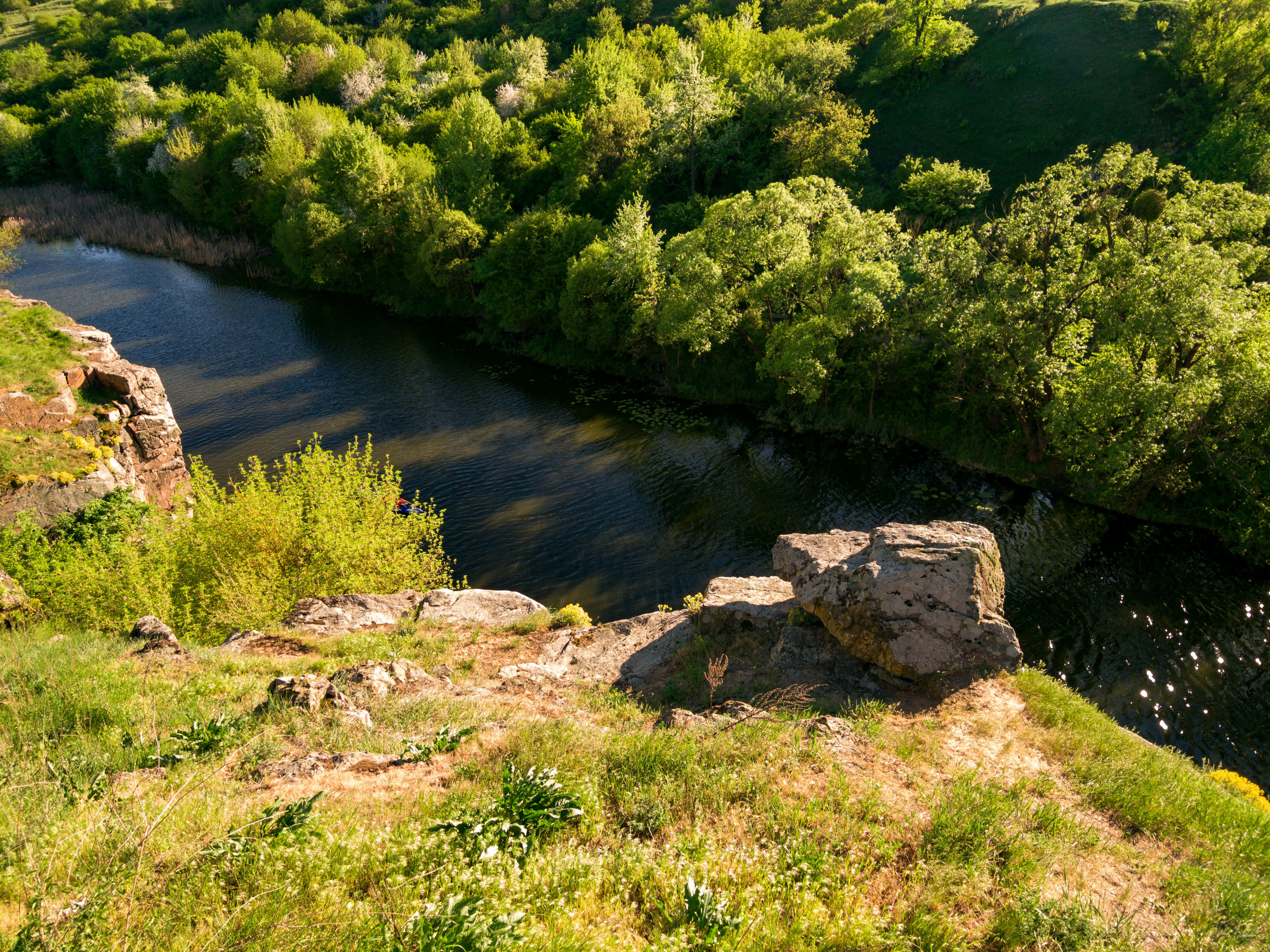 green trees beside river during daytime