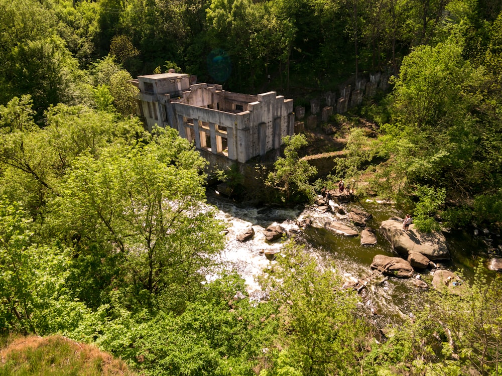 alberi verdi vicino al fiume durante il giorno