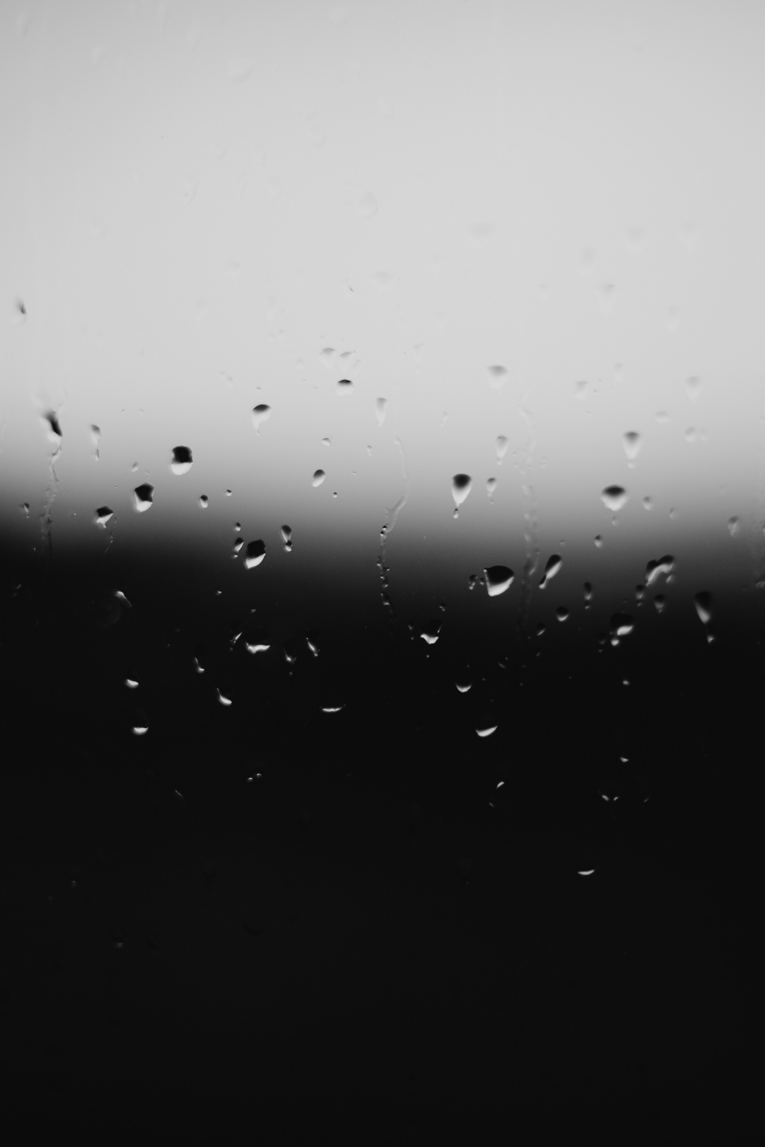 Photo by barnikakovacs