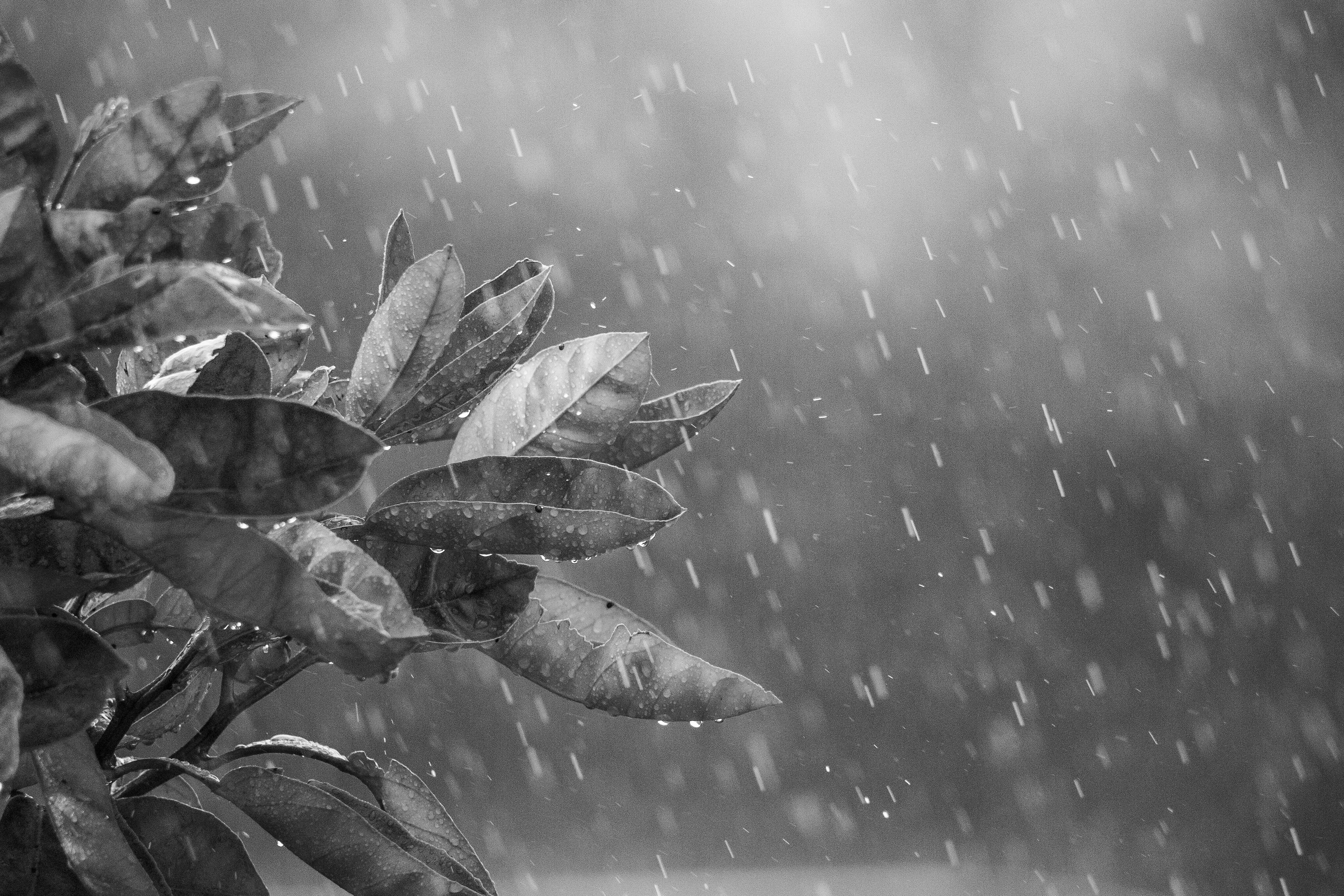 Photo by karthikeyanchinnathamby