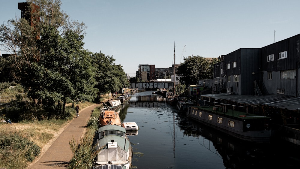 white and brown boat on river during daytime