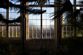 Tall glass doors surrounded by large windows, partially covered by shadows of overhanging tree branches. The doors reveal a view of a garden or park with hints of greenery outside. The sunlight creates a dramatic contrast between the bright view through the glass and the darker interior, adding depth and intrigue.